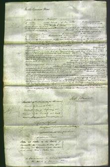 Court of Common Pleas - Elizabeth Lee Johnson-Original Ancestry