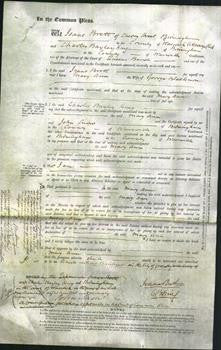 Court of Common Pleas - Mary Ann Blackman-Original Ancestry