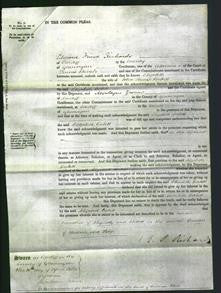 Court of Common Pleas - Elizabeth Corbett-Original Ancestry