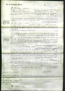 Court of Common Pleas - Ann Lewis-Original Ancestry