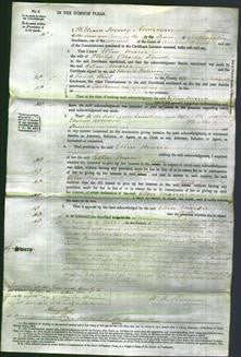 Court of Common Pleas - Ellen Maria Trench-Original Ancestry