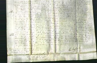 Court of Common Pleas - Eliza Fletcher-Original Ancestry