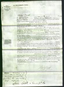 Court of Common Pleas - Ann Lilley-Original Ancestry