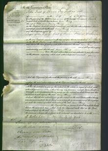 Court of Common Pleas - Ann King-Original Ancestry