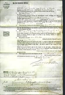 Court of Common Pleas - Ann Theaker-Original Ancestry