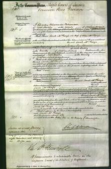 Court of Common Pleas - Sarah McKenzie-Original Ancestry