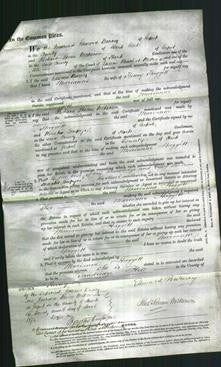 Court of Common Pleas - Marianne Haggitt-Original Ancestry