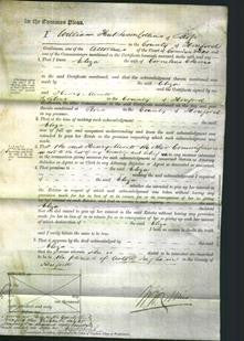 Court of Common Pleas - Eliza Chivers-Original Ancestry