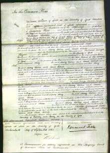 Court of Common Pleas - Mary Wilson and Sarah Roberts-Original Ancestry