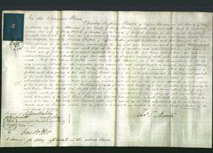 Court of Common Pleas - Susan Felsted-Original Ancestry