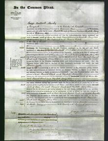 Court of Common Pleas - Harriet Read and Elizabeth Mary Ollis-Original Ancestry