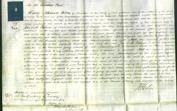 Court of Common Pleas - Maria Knowles-Original Ancestry