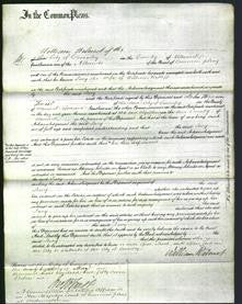 Court of Common Pleas - Lucy Ratliff-Original Ancestry