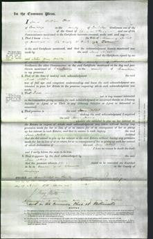 Court of Common Pleas - Jane Tebbit-Original Ancestry