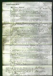 Court of Common Pleas - Elizabeth Henderson-Original Ancestry