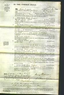 Court of Common Pleas - Cecilia Lidgold-Original Ancestry