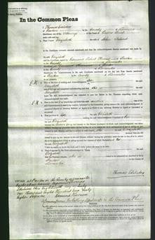 Court of Common Pleas - Elizabeth Ireland-Original Ancestry