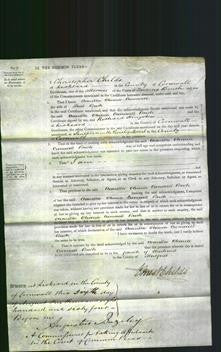 Court of Common Pleas - Avarilla Oliveria Cromwell Bush-Original Ancestry