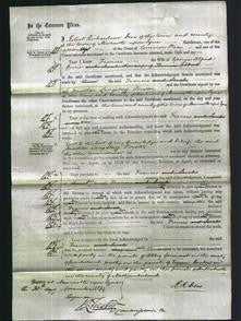 Court of Common Pleas - Frances Currie-Original Ancestry