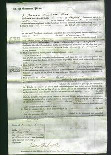 Court of Common Pleas - Susannah Godfrey-Original Ancestry