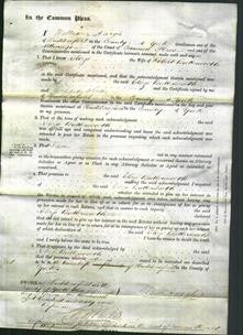 Court of Common Pleas - Eliza Butterworth-Original Ancestry