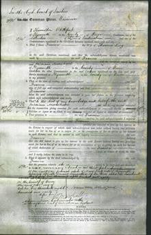 Court of Common Pleas - Frances King-Original Ancestry