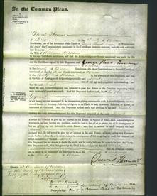 Court of Common Pleas - Sarah Williams-Original Ancestry