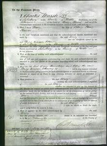 Court of Common Pleas - Mary Perman-Original Ancestry