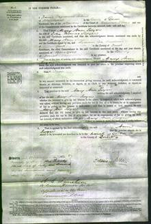 Court of Common Pleas - Mary Ann Swyer-Original Ancestry