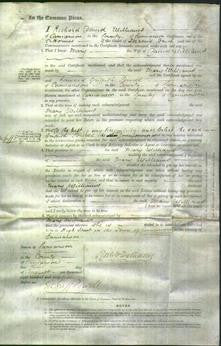 Court of Common Pleas - Mary Williams-Original Ancestry