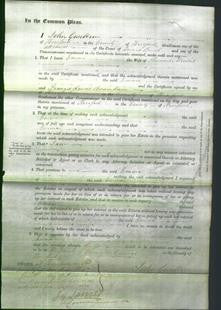 Court of Common Pleas - Emma Morris