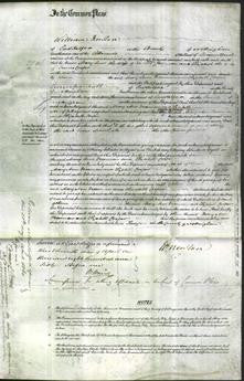 Court of Common Pleas - Mary Ann Freeman and Elizabeth Cooper-Original Ancestry