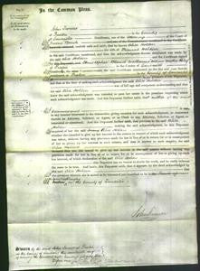 Court of Common Pleas - Alice Holden-Original Ancestry