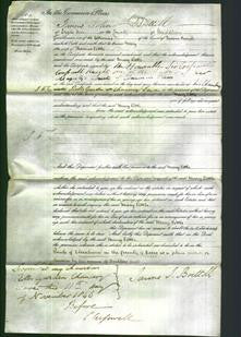 Court of Common Pleas - Mary Little-Original Ancestry