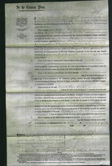 Court of Common Pleas - Sarah Ann Fowler-Original Ancestry