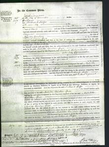 Court of Common Pleas - Matilda Caroline Spiers-Original Ancestry