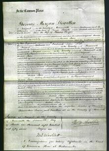 Court of Common Pleas - Jane Morgan-Original Ancestry