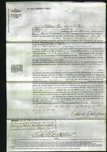 Court of Common Pleas - Katherine Smith-Original Ancestry