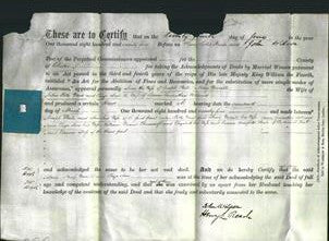 Deed by Married Women - Ann Steele, Mary Worrall Ward, Eliza Ann Holland-Original Ancestry