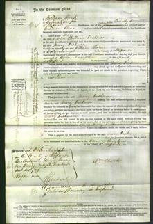Court of Common Pleas - Mary Dickinson-Original Ancestry