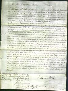 Court of Common Pleas - Alice Aldington-Original Ancestry