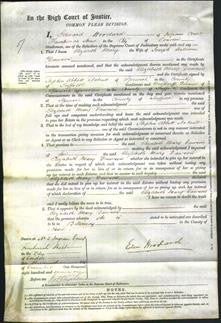 Court of Common Pleas - Elizabeth Mary Dawson-Original Ancestry