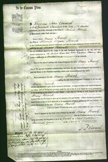 Court of Common Pleas - Mary Pocock-Original Ancestry