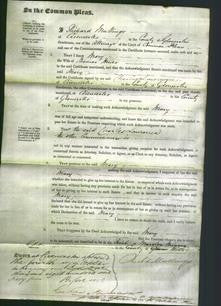 Court of Common Pleas - Mary Hewer-Original Ancestry