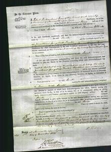 Court of Common Pleas - Sarah Colbeck-Original Ancestry