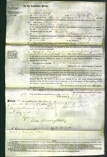 Court of Common Pleas - Elizabeth Pattenson-Original Ancestry