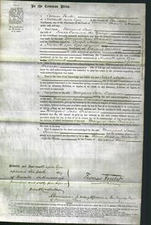 Court of Common Pleas - Margaret Jane Freeman-Original Ancestry