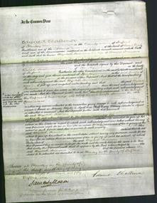 Court of Common Pleas - Elizabeth Stevenson-Original Ancestry