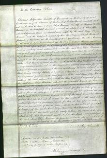 Court of Common Pleas - Ann Eliza Rosewear-Original Ancestry