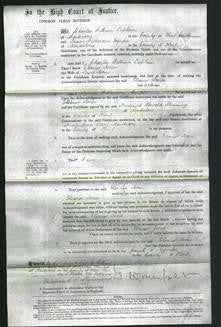 Court of Common Pleas - Eleanor Jones-Original Ancestry